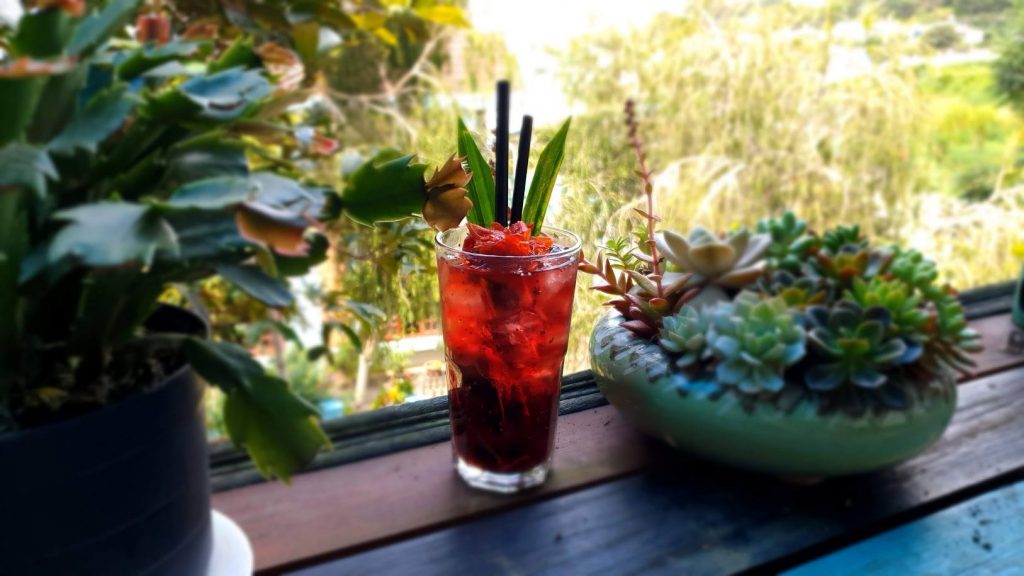 Trang trại heo rừng Đà Lạt – Tam Anh Farm