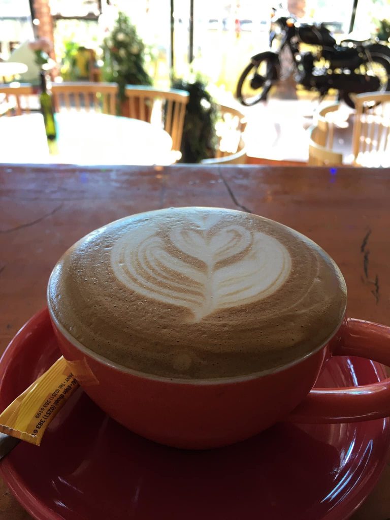 Trang trại heo rừng Đà Lạt – Tam Anh Farm