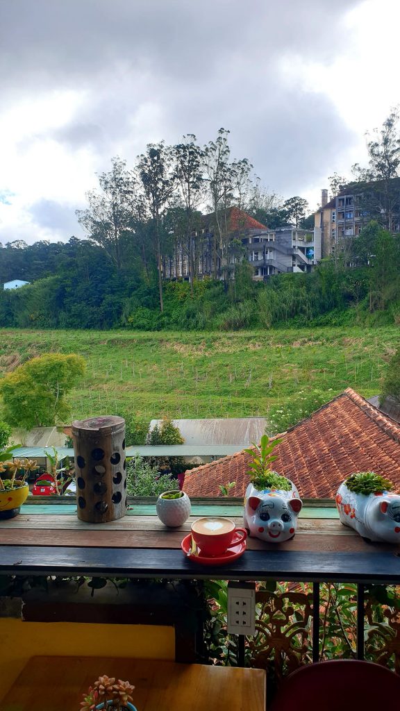 Trang trại heo rừng Đà Lạt – Tam Anh Farm