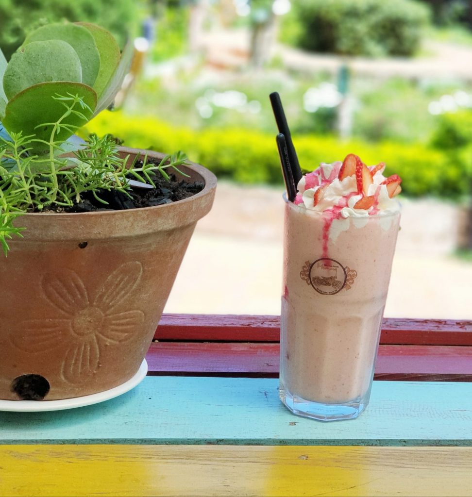 Trang trại heo rừng Đà Lạt – Tam Anh Farm
