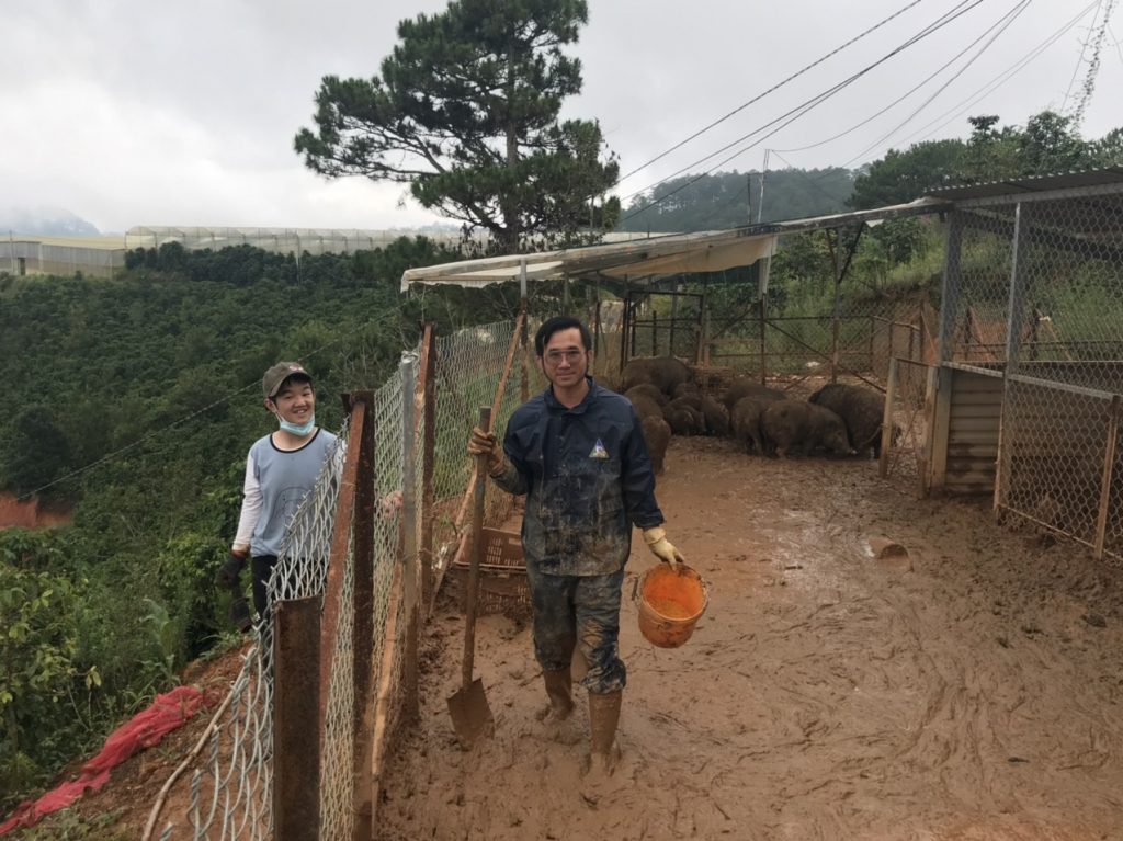 Trang trại heo rừng Đà Lạt – Tam Anh Farm